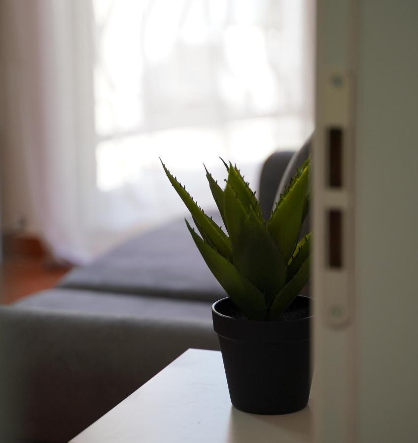 Stylish Apartment Near Tirana Center Bagian luar foto